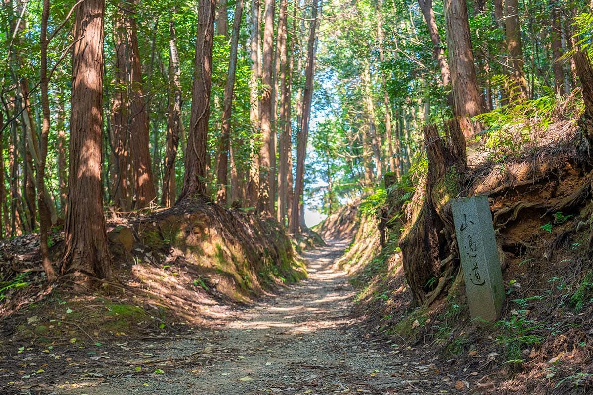 山の辺の道
